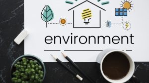 Environment Sustainability Eco Friendly Concept